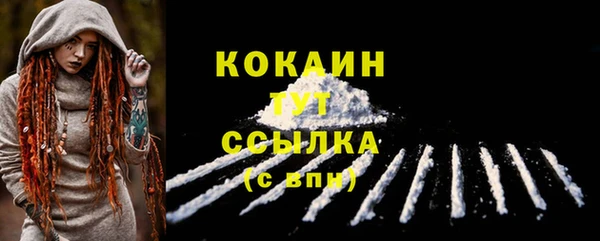 PSILOCYBIN Лабытнанги