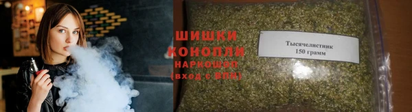 PSILOCYBIN Лабытнанги