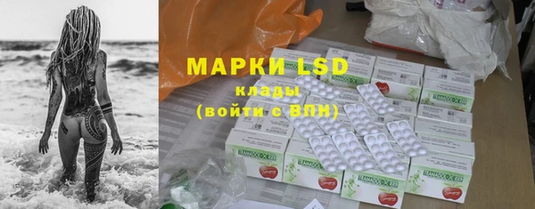 PSILOCYBIN Лабытнанги