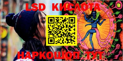 индика Камышлов