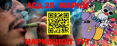 индика Камышлов