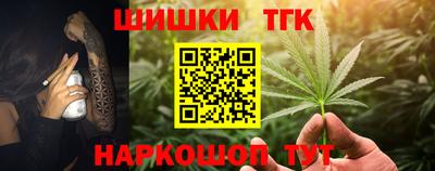 индика Камышлов
