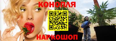 индика Камышлов
