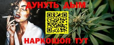 кокс Кингисепп