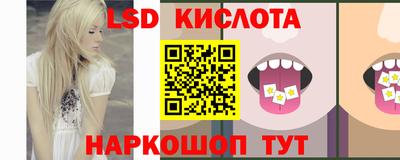 кокс Кингисепп