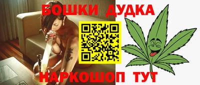 индика Камышлов