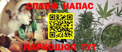 кокс Кингисепп