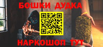 индика Камышлов