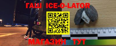 индика Камышлов