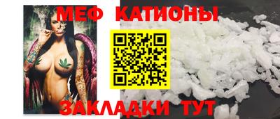 кокс Кингисепп