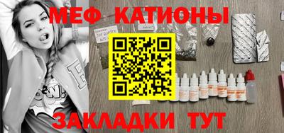 индика Камышлов