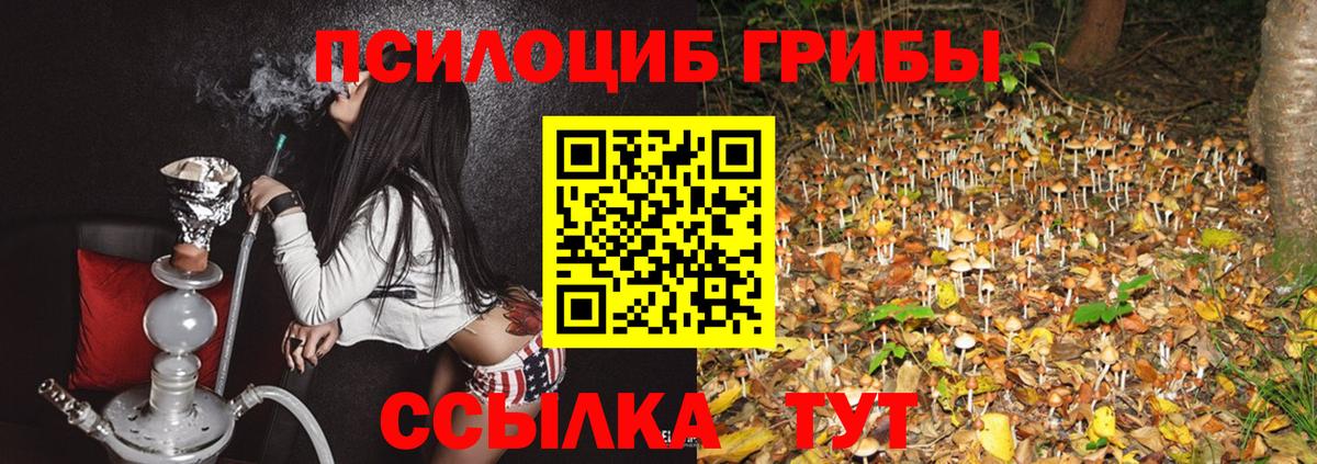 Людиново  Галлюциногенные грибы GOLDEN TEACHER  Вход с VPN  Псилоцибиновые грибы GOLDEN TEACHER 